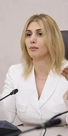 Խոսքը ԲՀԿ–ի մասին չէ, խոսքը ընտրողների մասին է. Էլինար Վարդանյանը՝ ՍԴ–ում