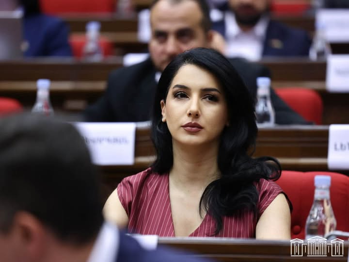 Մարդու իրավունքների անմխիթար վիճակը աշխատելու լայն դաշտ է ստեղծում․ Ղահրամանյան